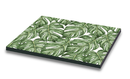 Tabla de quesos Monstera