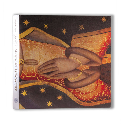 Libro Santa María de Guadalupe